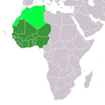 vakarų afrikos prekybos sistema